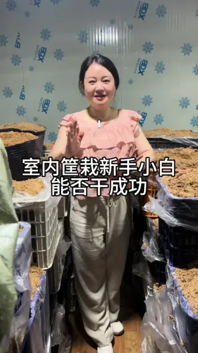 室内筐栽天麻种植案例分享 #抖音助农 #新农人计划 #中药材 @抖音小助手