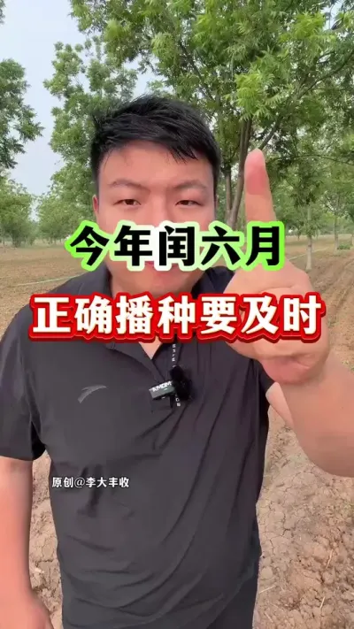 今年闰六月，玉米早晚播种差异大！ #玉米种植 #玉米播种时间 #种植小技巧