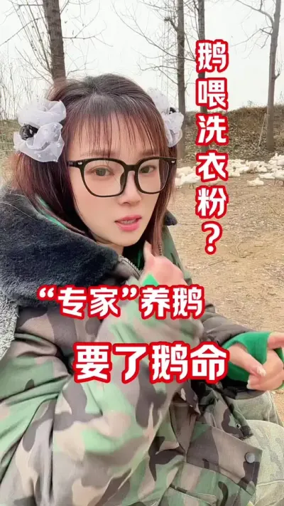 养鹅重在管理，不要盲目相信偏方#每天分享养殖技术和经验 #养鹅人#农村创业养殖