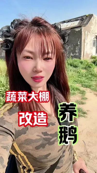 蔬菜大棚能养鹅吗？持续关注，看我72变😇#关注我每天分享种植知识 #养鹅人 #养鹅#农村创业养殖 #养鹅技术分享