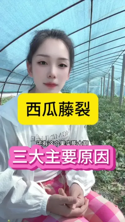 #抖音助农扶农 #抖音助农 #种植技术