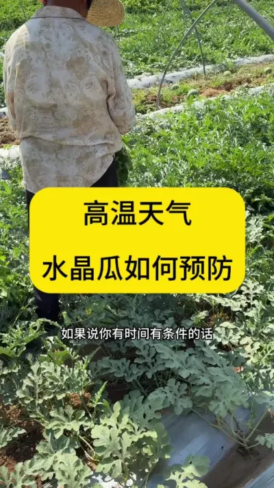 #抖音助农扶农 #农业种植技术 #抖音助农