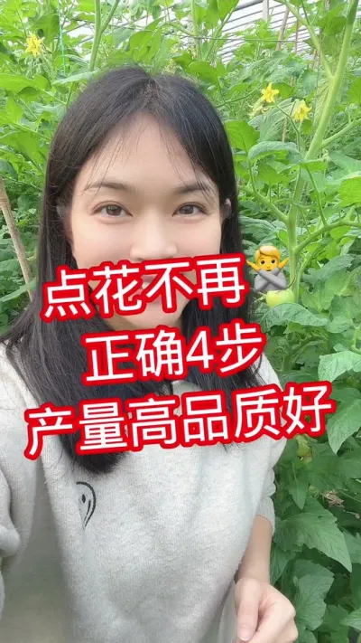 #西红柿种植 #番茄种植 #点花 关注我 互相学习@抖音小助手