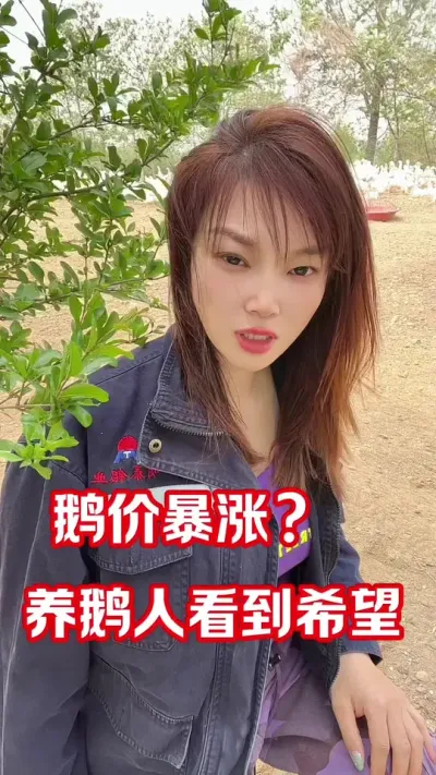 鹅价是不是有新变动#养鹅人 #农村创业养殖 #每天分享养殖技术和经验