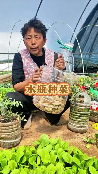 自从有了抖音瓶子罐子都能种菜啦！赶紧收藏起来吧#三农 #种植小技巧 #三农小知识 #蔬菜杨大姐 #种菜小技巧 @DOU+小助手 @DOU+上热门 @抖音创作小助手