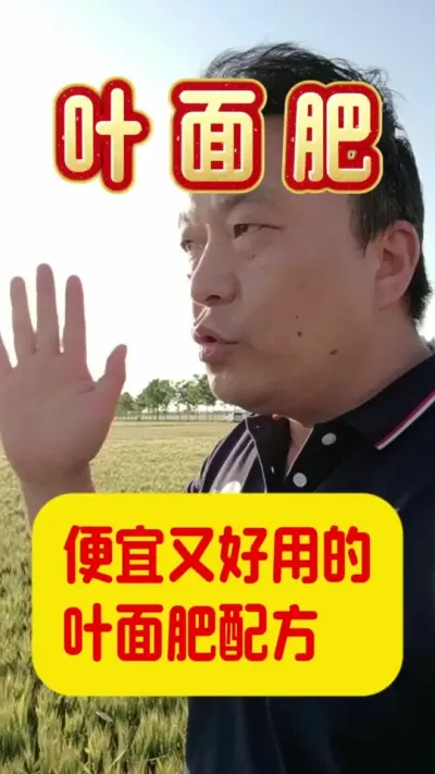 便宜又好用的叶面肥配方。#磷酸二氢钾黄金搭档 #叶面肥这样用更高产