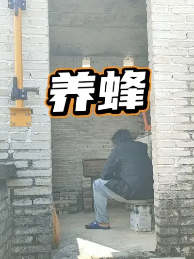 养蜂 总有人间一两风，填我十万八千梦#养蜂 #我的乡村生活 #新农人计划2025