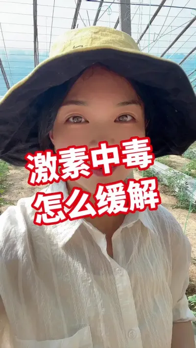 #记录我的种植生活 #西红柿种植 #葡萄糖钛#激素中毒 点个关注 葡萄糖钛在橱窗@抖音小助手