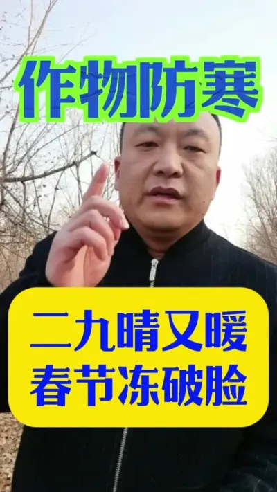 二九晴又暖，春节冻破脸#今年是暖冬还是冷冬 #作物防冻