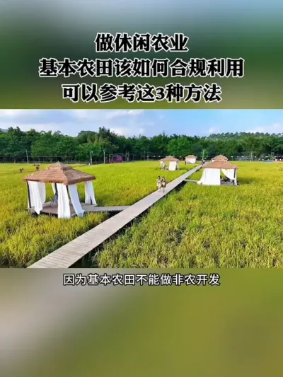 做休闲农业，基本农田该如何合规开发？可以参考这三种模式！#新农人 #休闲农业 #农场 #乡村振兴 #三农