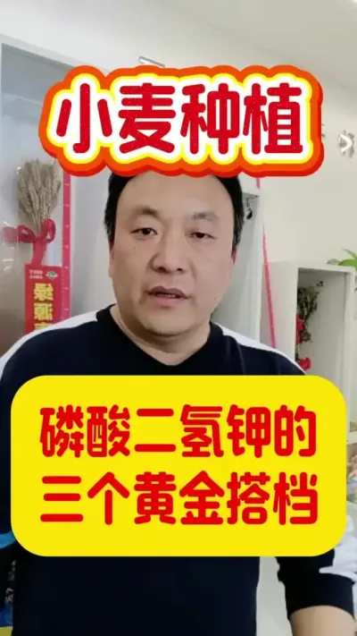 磷酸二氢钾的三个黄金搭档。#磷酸二氢钾 #肥料知识