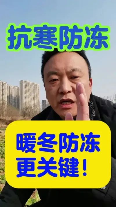 暖冬更需要给作物抗寒防冻！#植物防冻液抗冻剂 #预防冻伤的措施