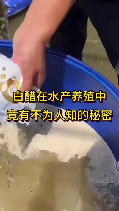 #嘉骏新水产#嘉骏集团#南美白对虾养殖 #水产养殖技术#李新聊对虾