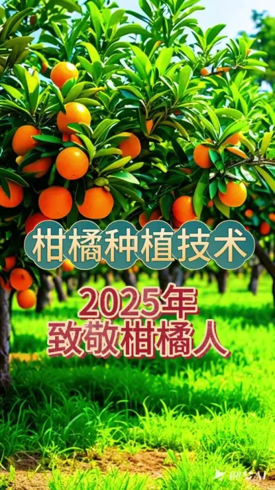 #dou上热门 致敬柑橘种植人#柑橘种植 #新农人计划 #抖音助农