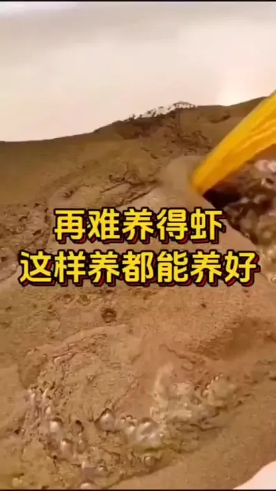 再难养的虾这样养都能养好#南美白对虾 #嘉骏集团#鱼虾蟹养殖技术 #嘉骏新水产#水产人