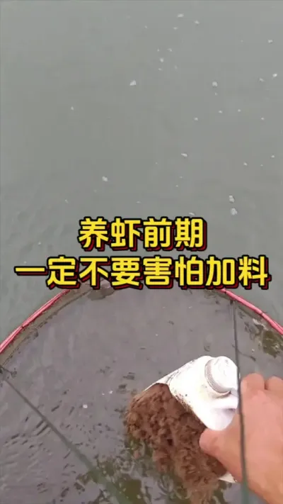 养虾前期一定不要害怕加料#养虾人 #水产人 #南美白对虾 #嘉骏集团 #嘉骏新水产