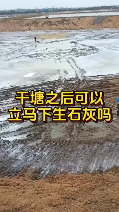 干塘之后可以，立马下生石灰吗#小棚养虾 #养虾人 #水产人 #南美白对虾 #水产养殖