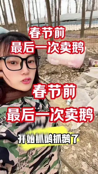 春节前最后一次卖鹅#农村创业养殖 #养鹅人 #养鹅#养鹅