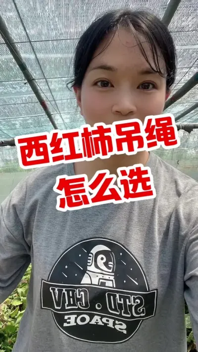 #西红柿种植 #大棚西红柿 #记录我的种植生活  #西红柿吊绳 点个关注 互相学习吧 @抖音小助手