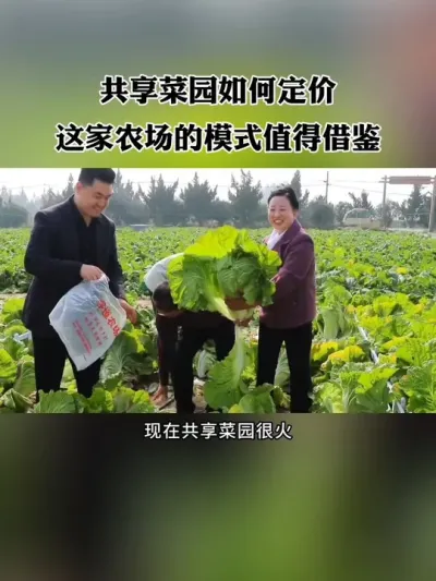 现在共享菜园很火，很多农场都在做，但共享菜园如何定价才能让客户更好接受？杭州这家农场的做法就很值得借鉴！#共享菜园 #新农人 #农场 #休闲农业 #共享农场