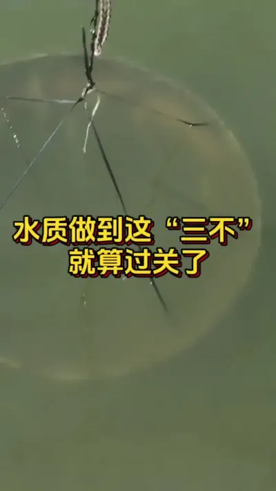 水质做到这三不，就算过关了#小棚养虾 #养虾人 #水产人 #南美白对虾 #嘉骏新水产