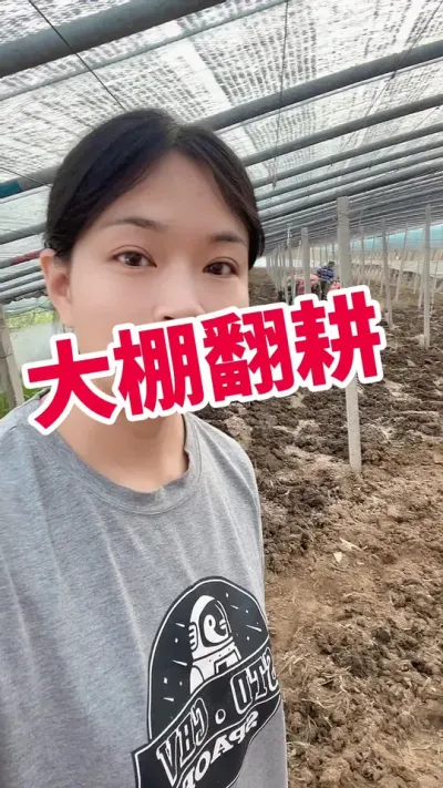 #西红柿种植 #大棚西红柿#刨地#记录我的种植生活 点个关注吧@抖音小助手