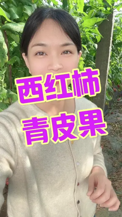 #西红柿种植 #记录我的种植生活 #大棚西红柿 点个关注 互相学习吧@抖音小助手  #青皮果