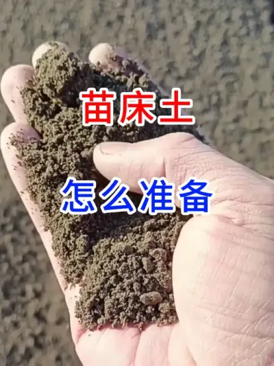 苗床土怎么准备？ #三农 #土壤改良 #营养土有机土 #支持三农扶持三农发展 #抖音助农