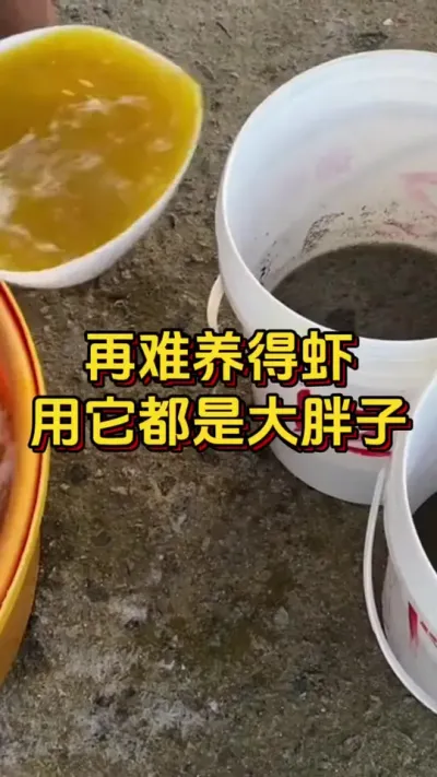 再难养的虾，用它都能成大胖虾#对虾养殖 #养虾人 #南美白对虾 #嘉骏新水产 #嘉骏集团