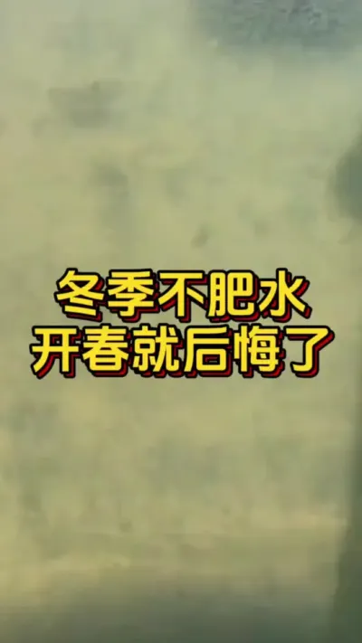 冬季不肥水开春就后悔了#南美白对虾 #养虾人 #水产人 #小棚养虾 #水产养殖