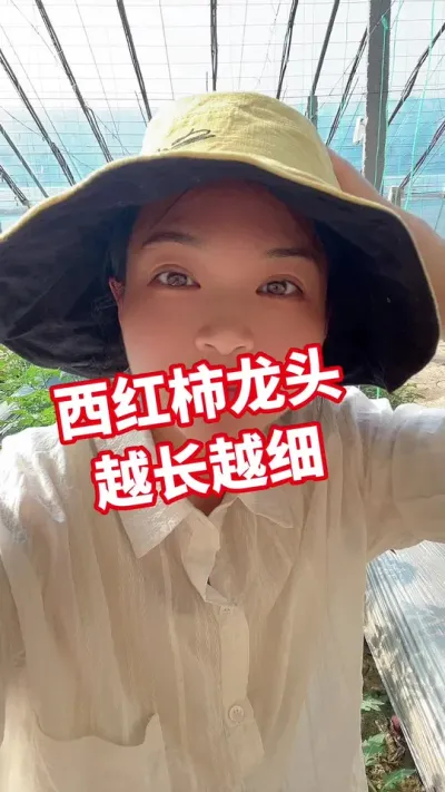 #记录我的种植生活 #大棚种植 #西红柿种植  点个关注吧@抖音小助手