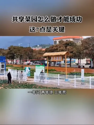 一年兴两年凉三年荒，这是大多数共享菜园的结局，共享菜园怎么做才能成功？这7点是关键！#新农人 #共享菜园 #农场 #休闲农业 #共享农场