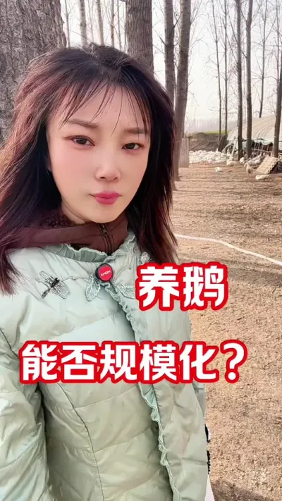 养鹅怎么规模化？#农村创业养殖 ##养鹅人 ##养鹅