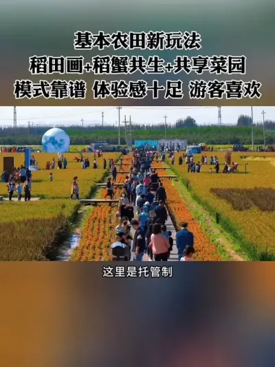 基本农田新玩法，这种模式很靠谱，稻田画+稻蟹共生+共享菜园，体验感十足，深受游客喜欢！#休闲农业 #新农人 #乡村振兴 #农场 #共享农场