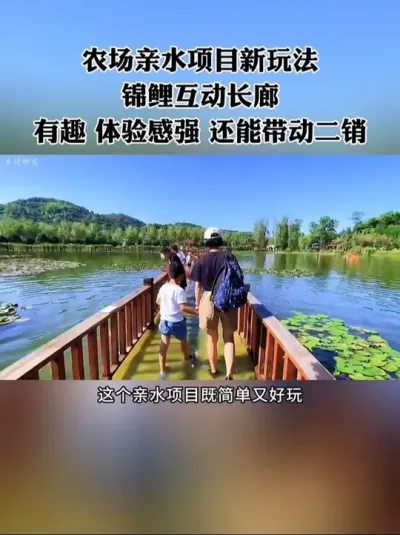 农场亲水项目新玩法：锦鲤互动长廊，简单有趣，体验感强，还能带动二销！#农场 #农庄 #休闲农业 #新农人 #农旅