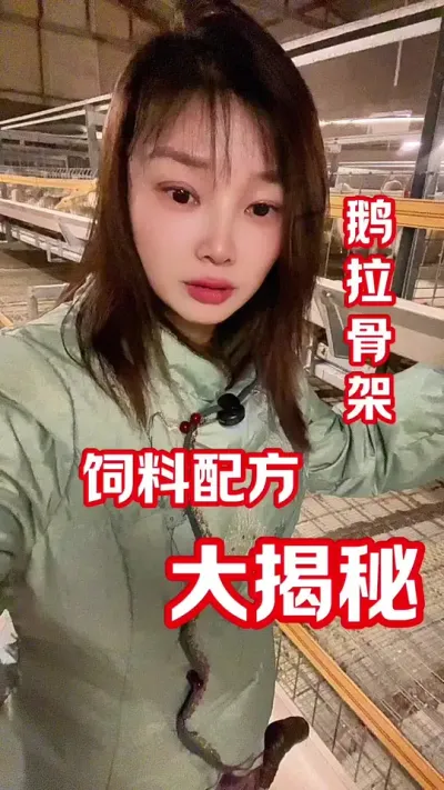 鹅拉骨架 ：注意事项😎#农村创业养殖 #养鹅技术分享 #养鹅人