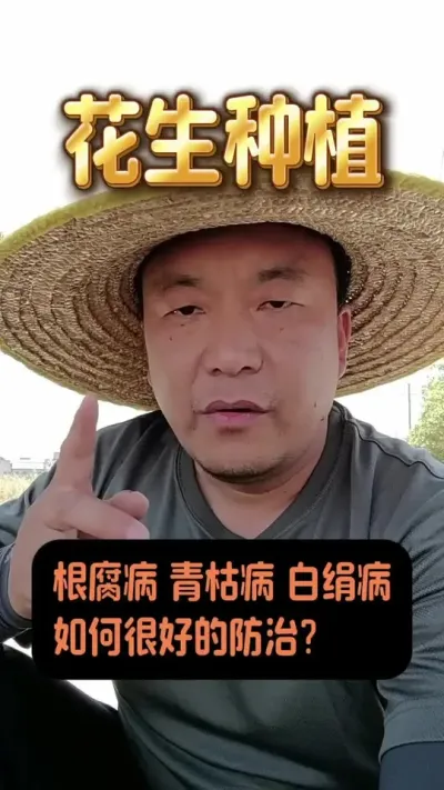 花生防病配方。#花生种植管理技术 #花生高产配方