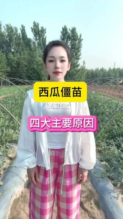 #抖音助农在行动 #抖音助农扶农 #农业种植技术