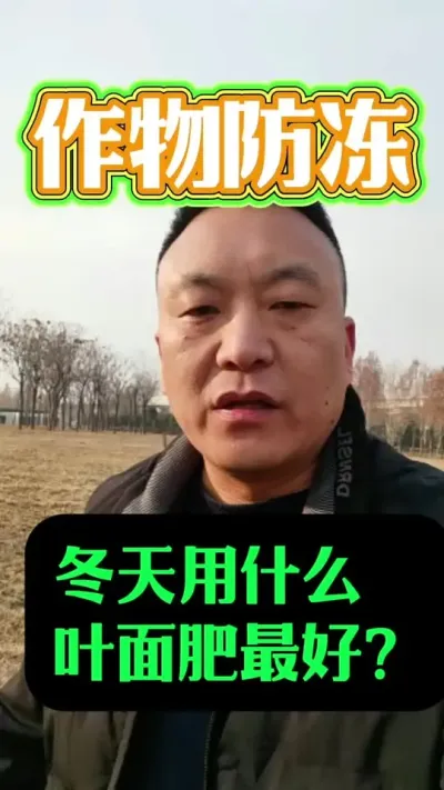 冬天用什么叶面肥最好？#叶面肥这样用更高产 #分享农业知识帮农民增产增收 #防冻抗寒