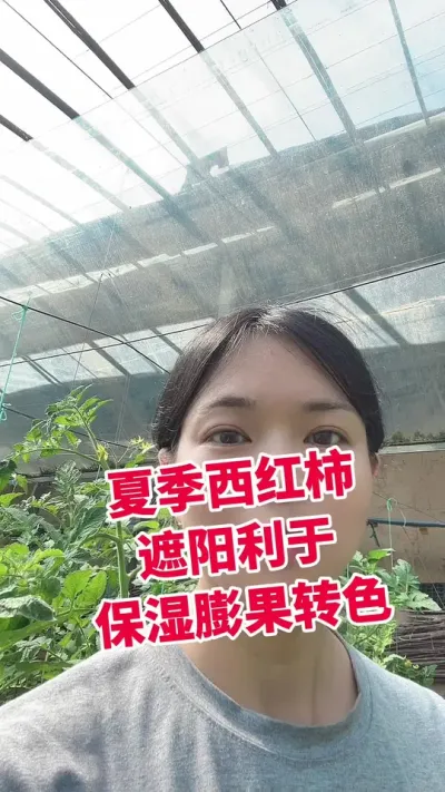 #西红柿种植#遮阳网#大棚种植 #记录我的种植生活  点个关注 互相学习吧@抖音小助手