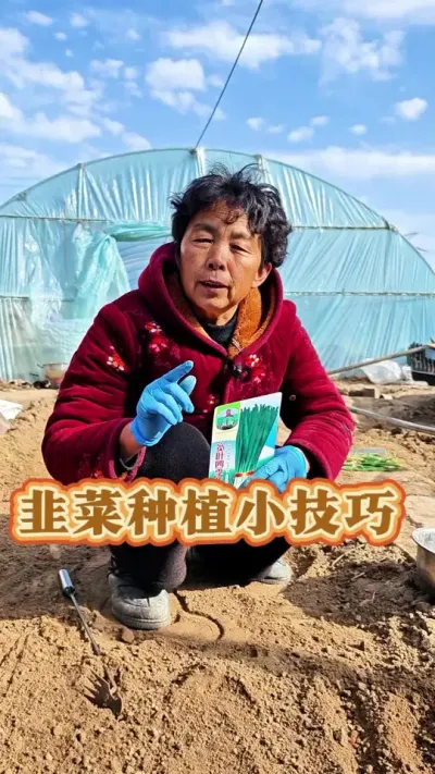 韭菜种植小技巧#韭菜种植 #每天分享蔬菜种植技巧 #种韭菜  #三农 #蔬菜杨大姐 @DOU+小助手 @@DOU+上热门 @抖音创作小助手
