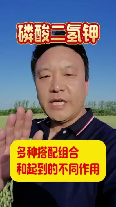 磷酸二氢钾多种搭配组合和作用。#磷酸二氢钾黄金搭档