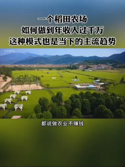 一个稻田农场，如何做到了年收入过千万？这种模式也是当下的主流趋势！#休闲农业 #农场 #新农人 #农庄 #乡村振兴