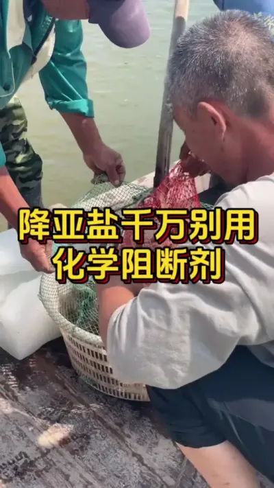 降亚盐千万别用化学阻断剂#水产人 #养虾人 #水产养殖 #嘉骏集团 #嘉骏新水产