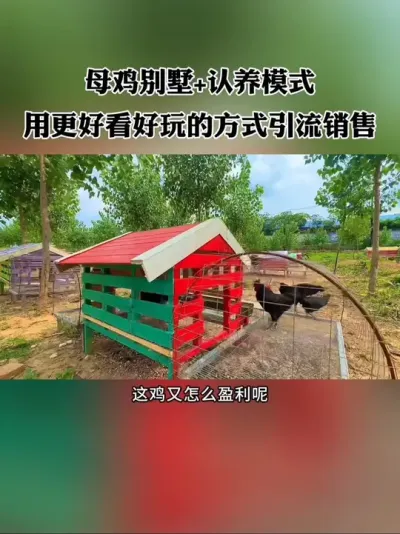 住别墅的老母鸡有没有见过，这鸡又怎么盈利呢？这个案例很有创意！#共享农场 #新农人 #农场 #休闲农业 #农庄