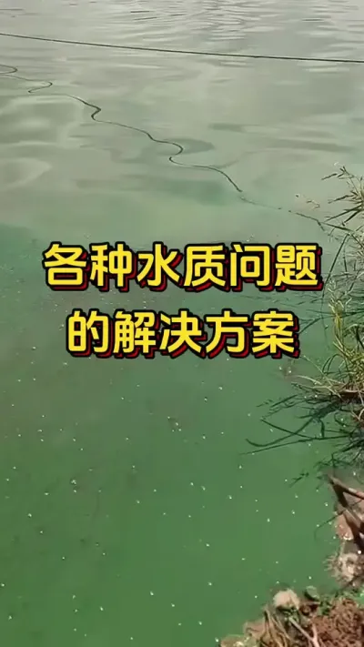 #嘉骏新水产#嘉骏集团#李新聊对虾#南美白对虾养殖