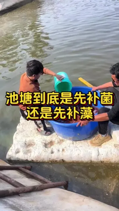 池塘到底是先补菌还是先补藻#小棚养虾 #养虾人 #水产人 #南美白对虾 #嘉骏新水产