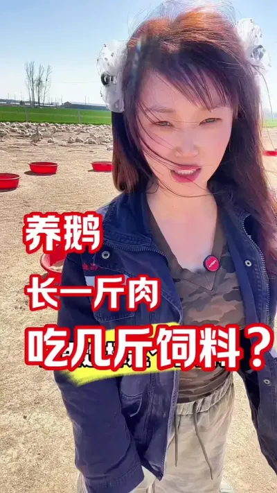 养鹅的料肉比多少才达标？#养鹅人 #农村创业养殖 #养鹅技术分享