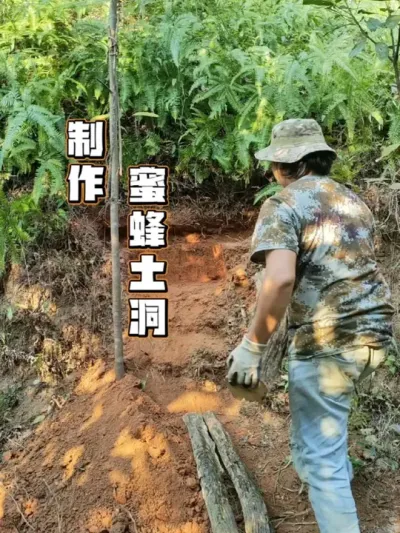 制作蜜蜂土洞 春天蜜蜂分蜂的季节，做一个土洞诱蜂#蜜蜂土养  #诱蜂 #新农人计划2025