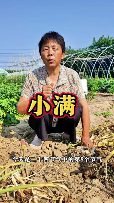 人生不求太满，小满即是圆满！#二十四节气 #小满 #三农 #蔬菜杨大姐 #蔬菜种植 @抖音创作小助手 @DOU+小助手 @DOU+上热门
